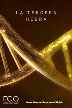 La tercera hebra